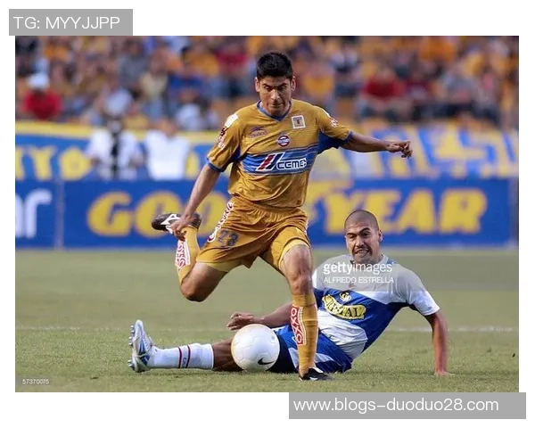 2017年墨美洲对阵老虎大学的精彩赛事回顾与分析