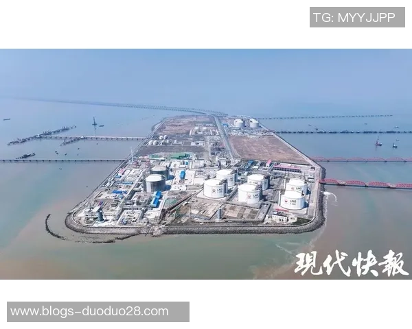 LNG在大师赛中的灵活性展现与战术调整分析